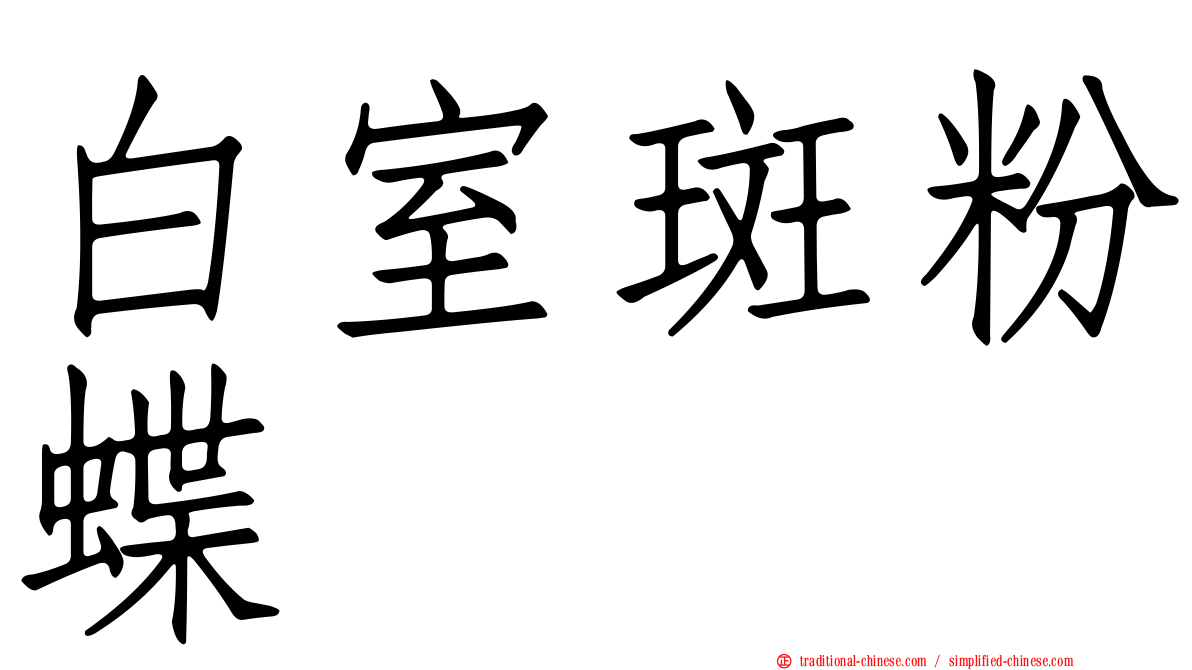 白室斑粉蝶