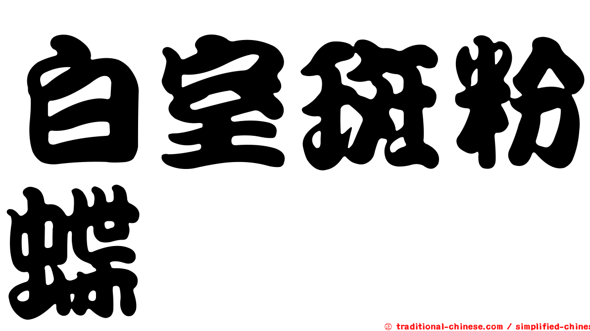 白室斑粉蝶