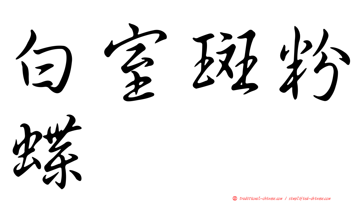 白室斑粉蝶