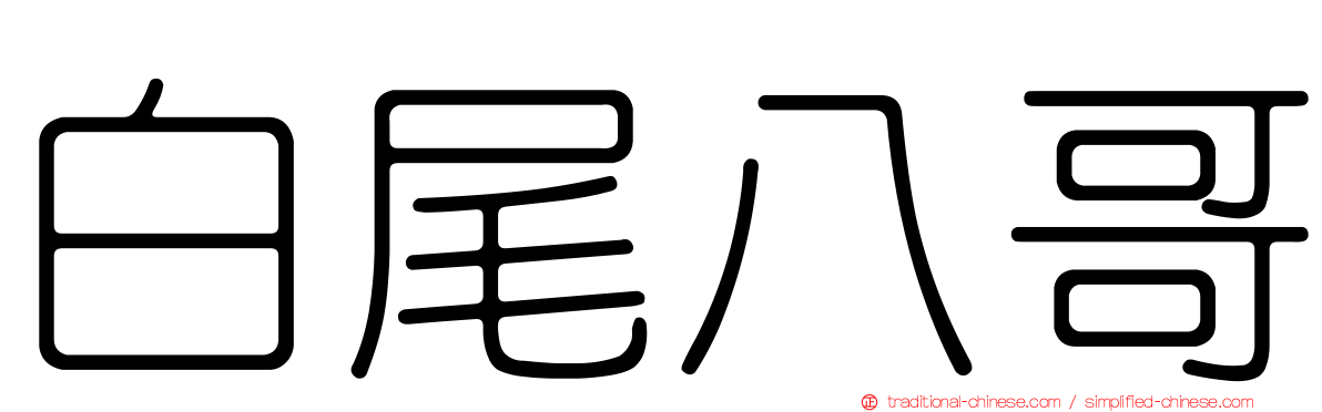 白尾八哥