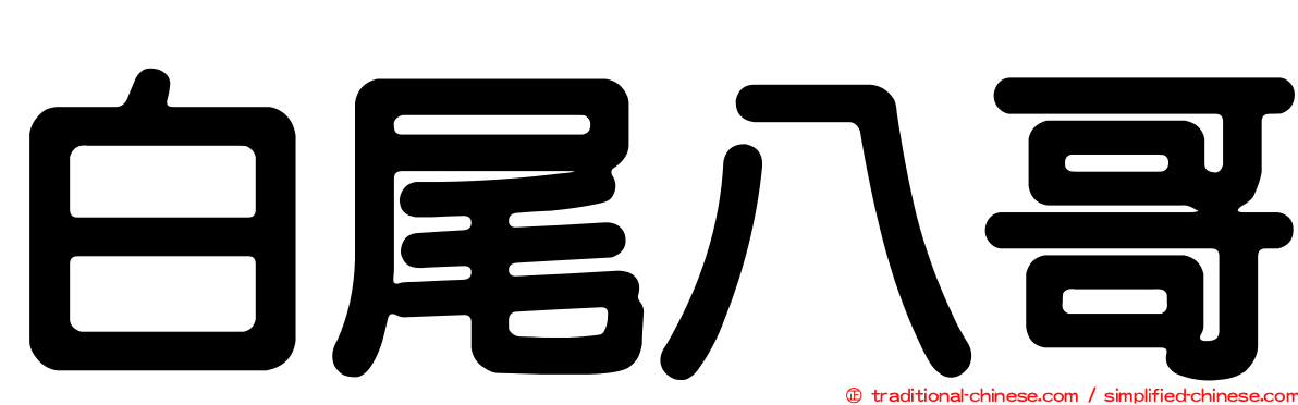 白尾八哥