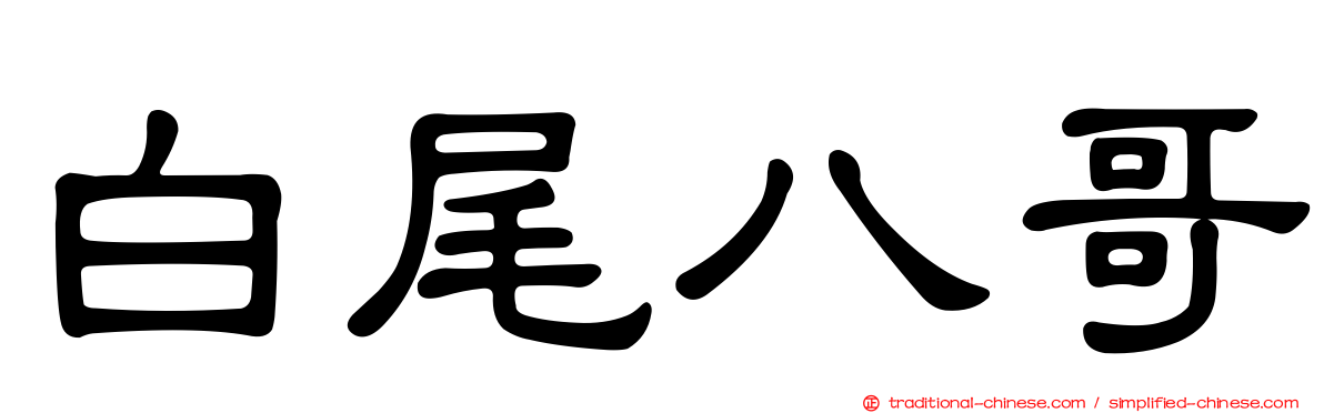 白尾八哥