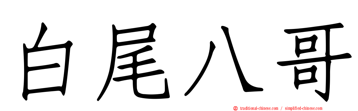 白尾八哥
