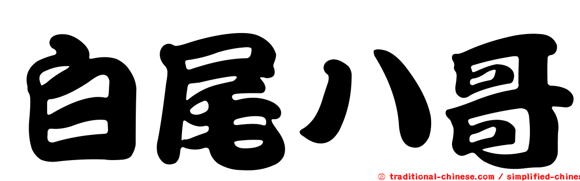 白尾八哥