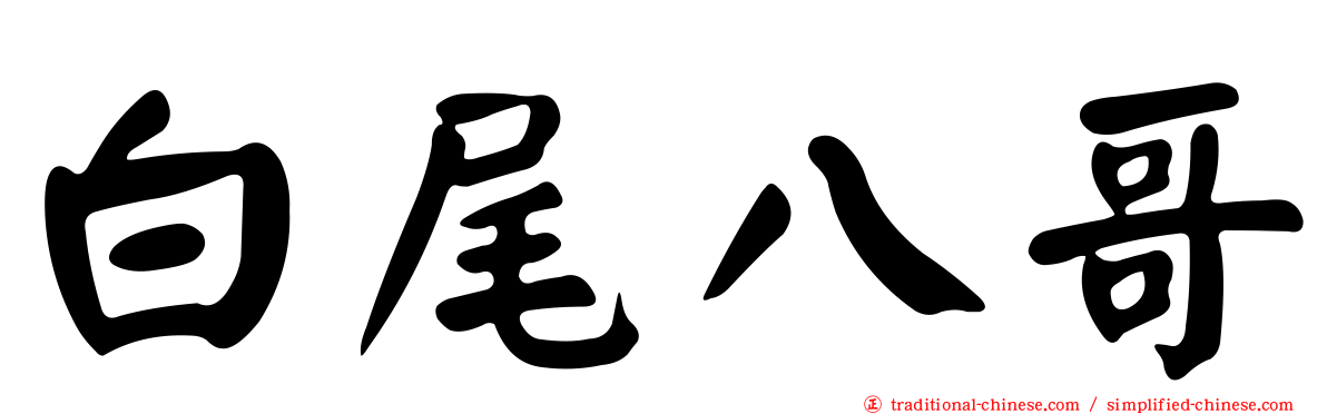 白尾八哥