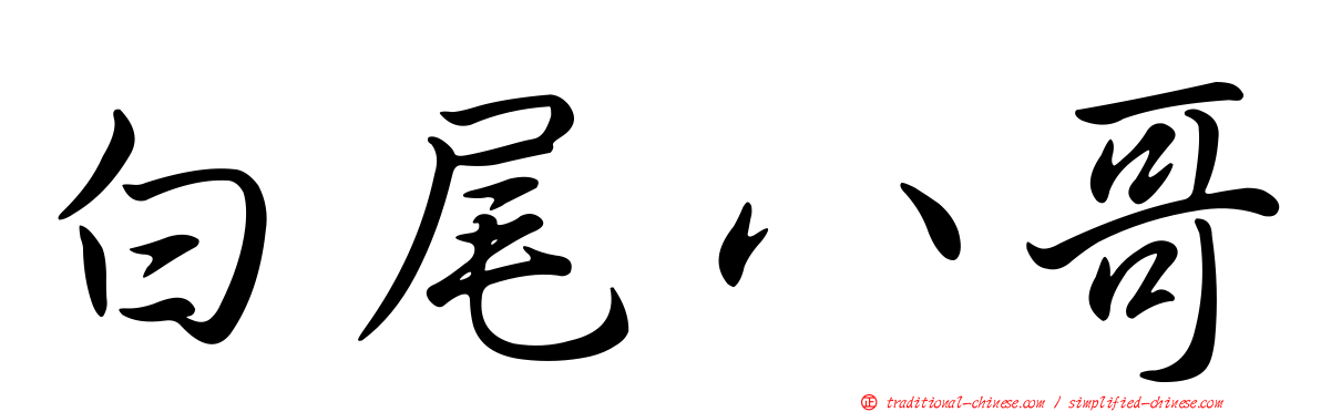白尾八哥