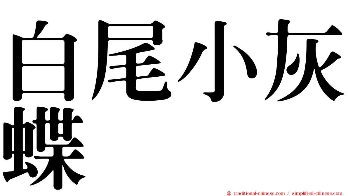 白尾小灰蝶