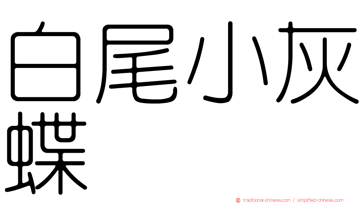白尾小灰蝶