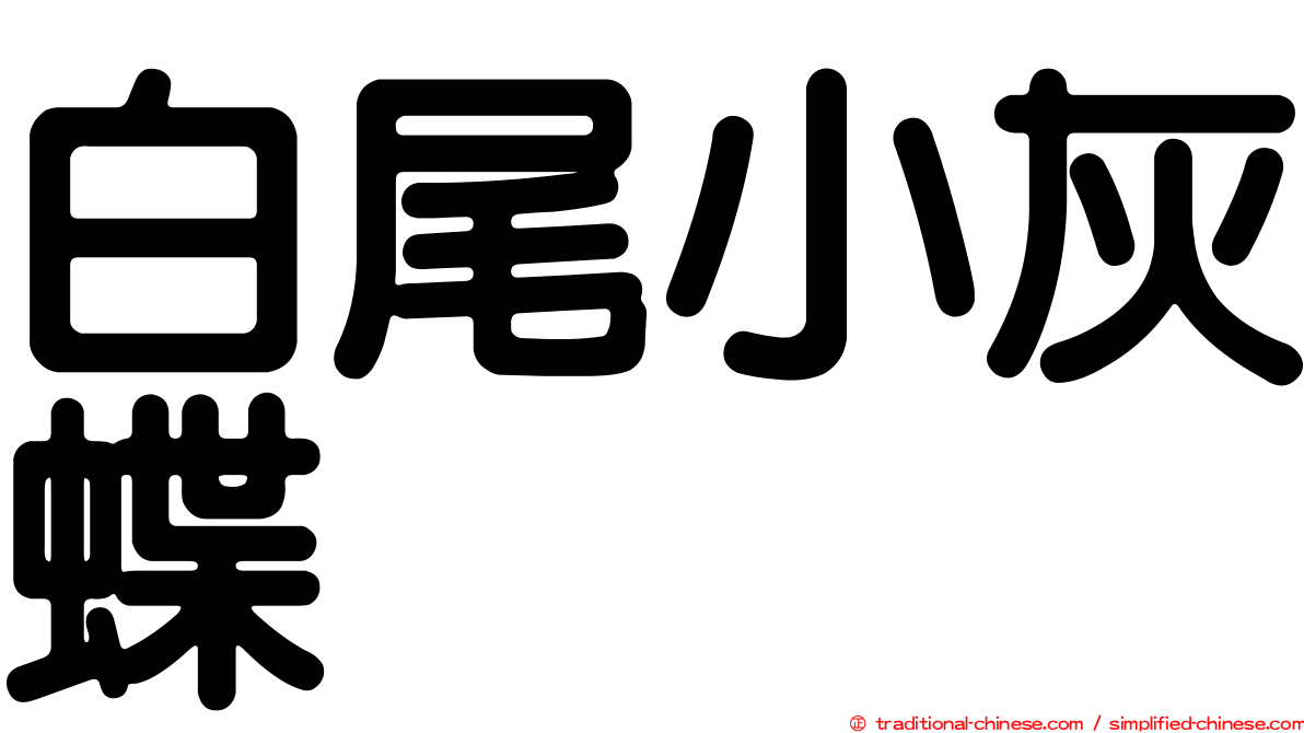 白尾小灰蝶