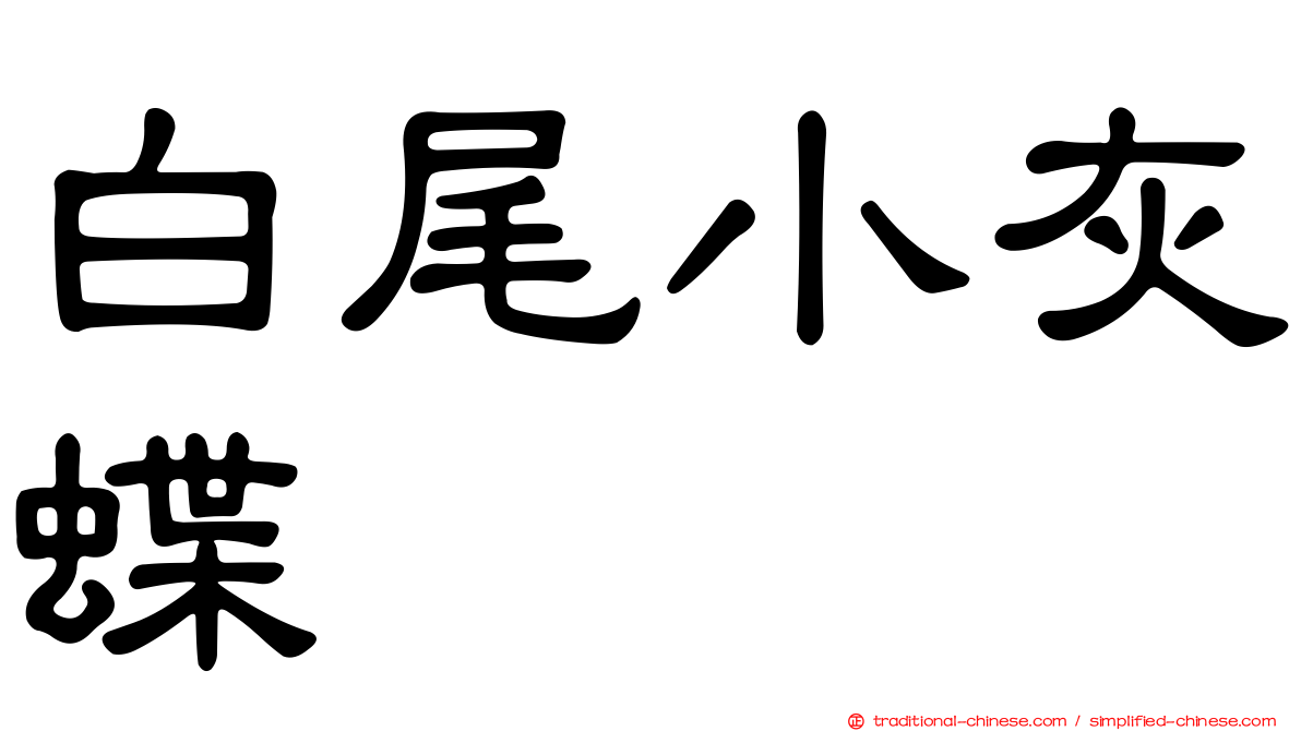 白尾小灰蝶