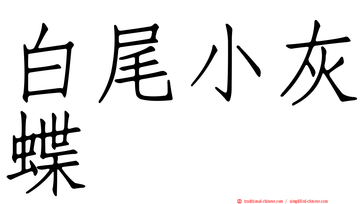 白尾小灰蝶