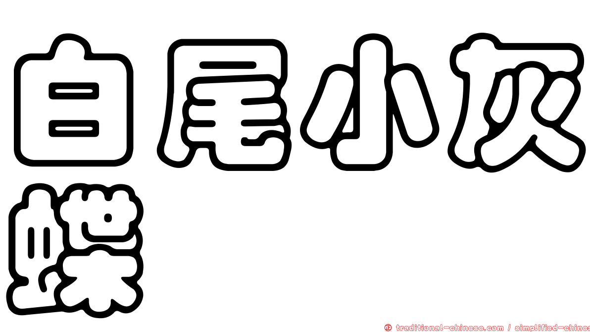 白尾小灰蝶