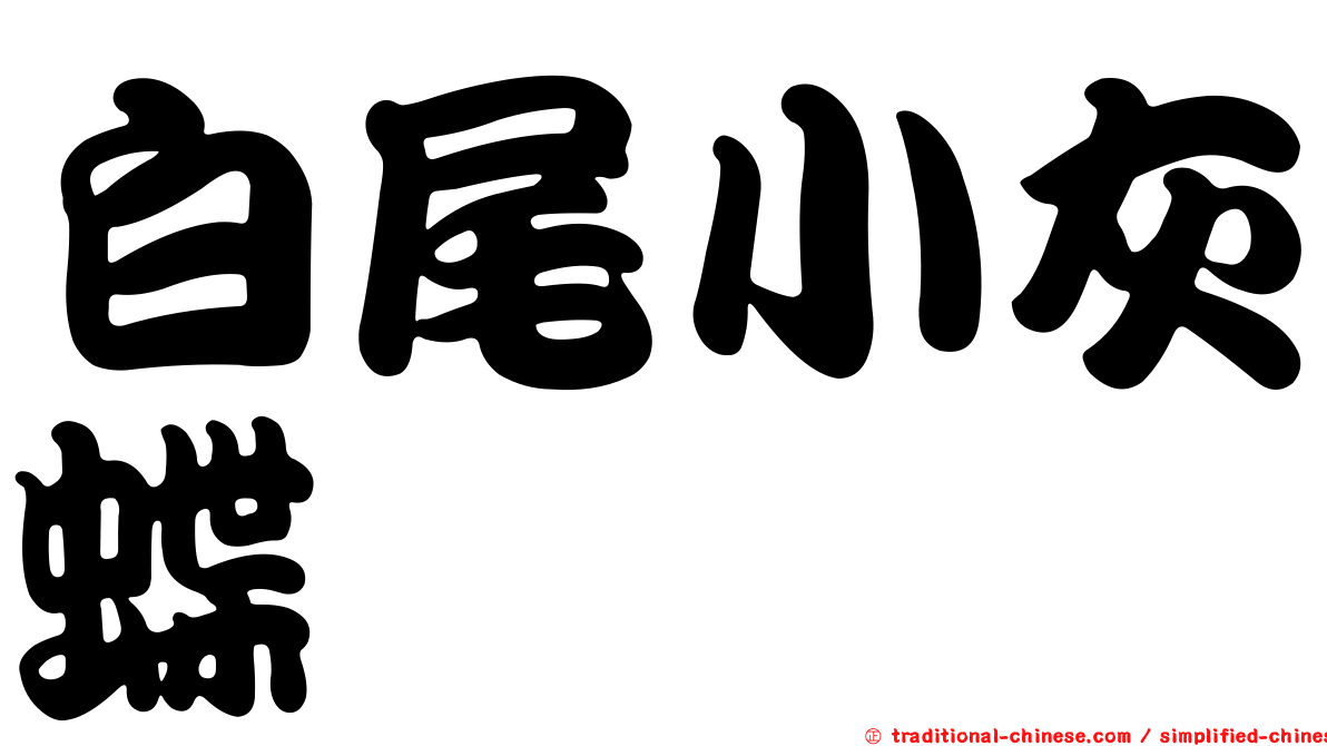 白尾小灰蝶