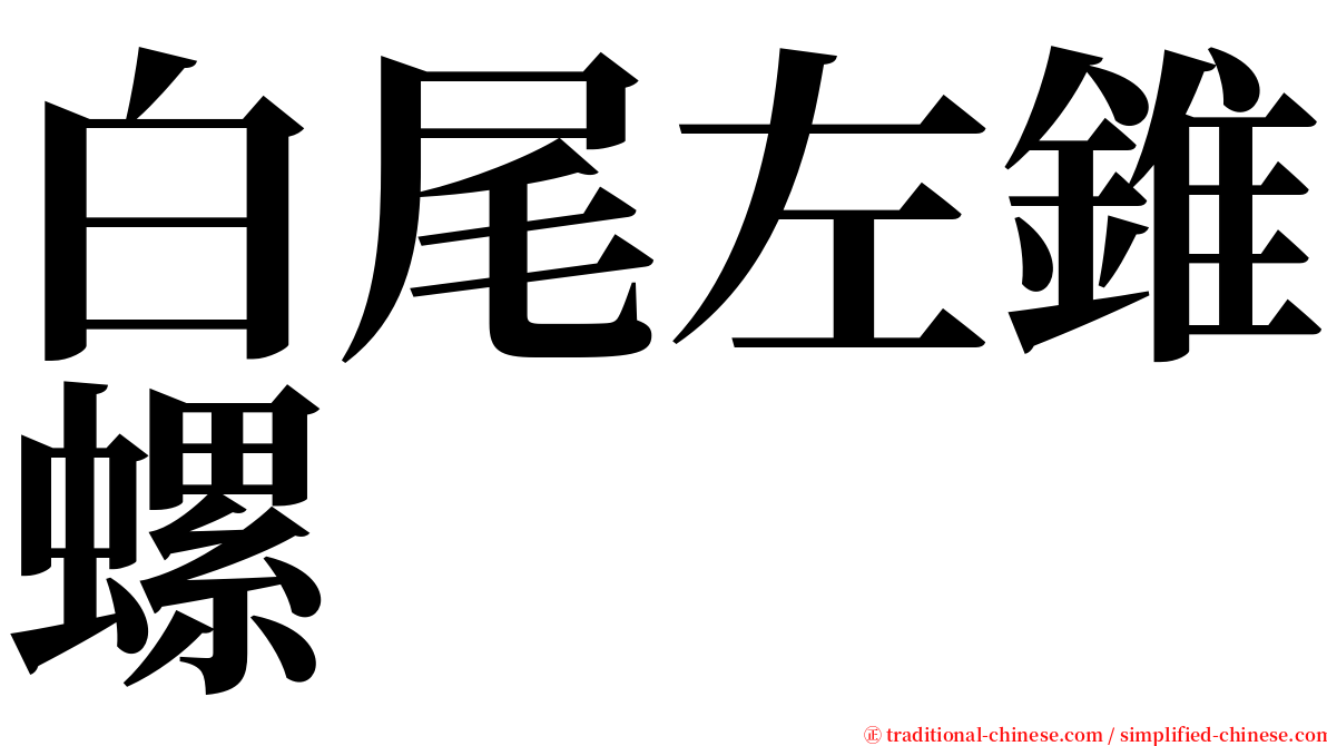 白尾左錐螺 serif font