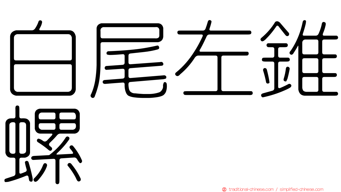 白尾左錐螺