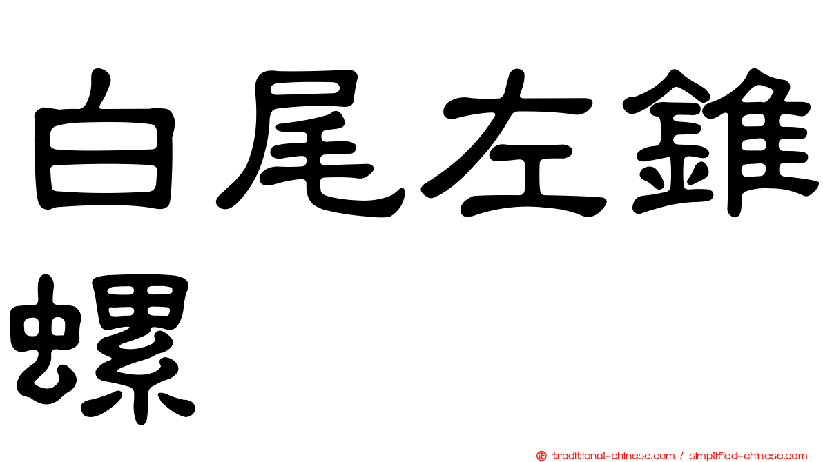 白尾左錐螺