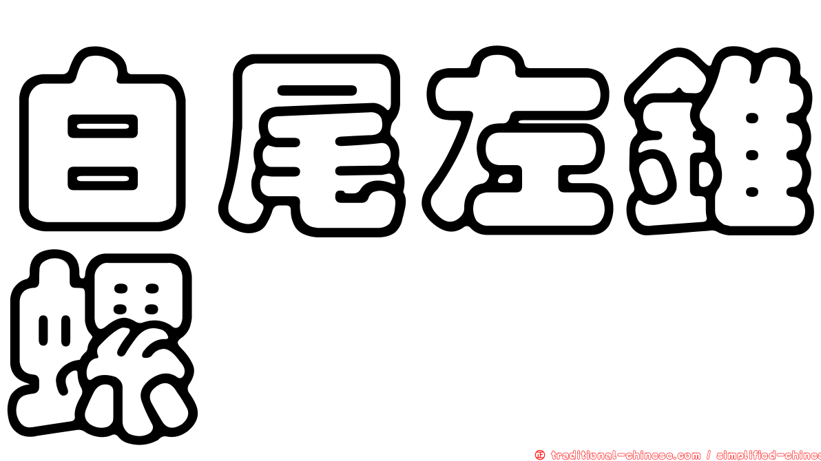 白尾左錐螺