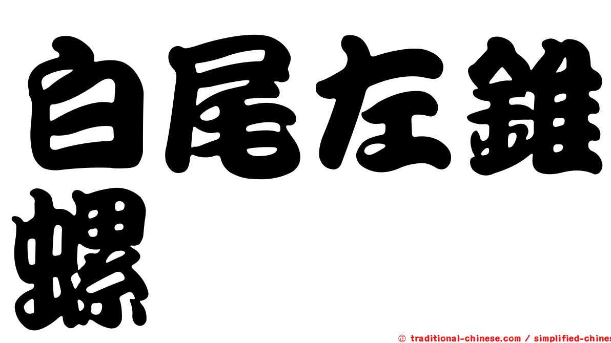 白尾左錐螺