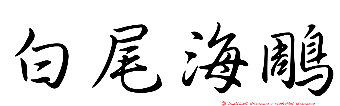 白尾海鵰