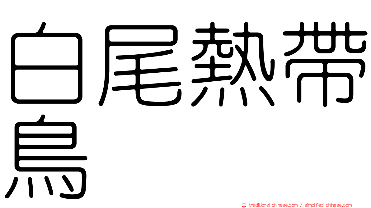 白尾熱帶鳥
