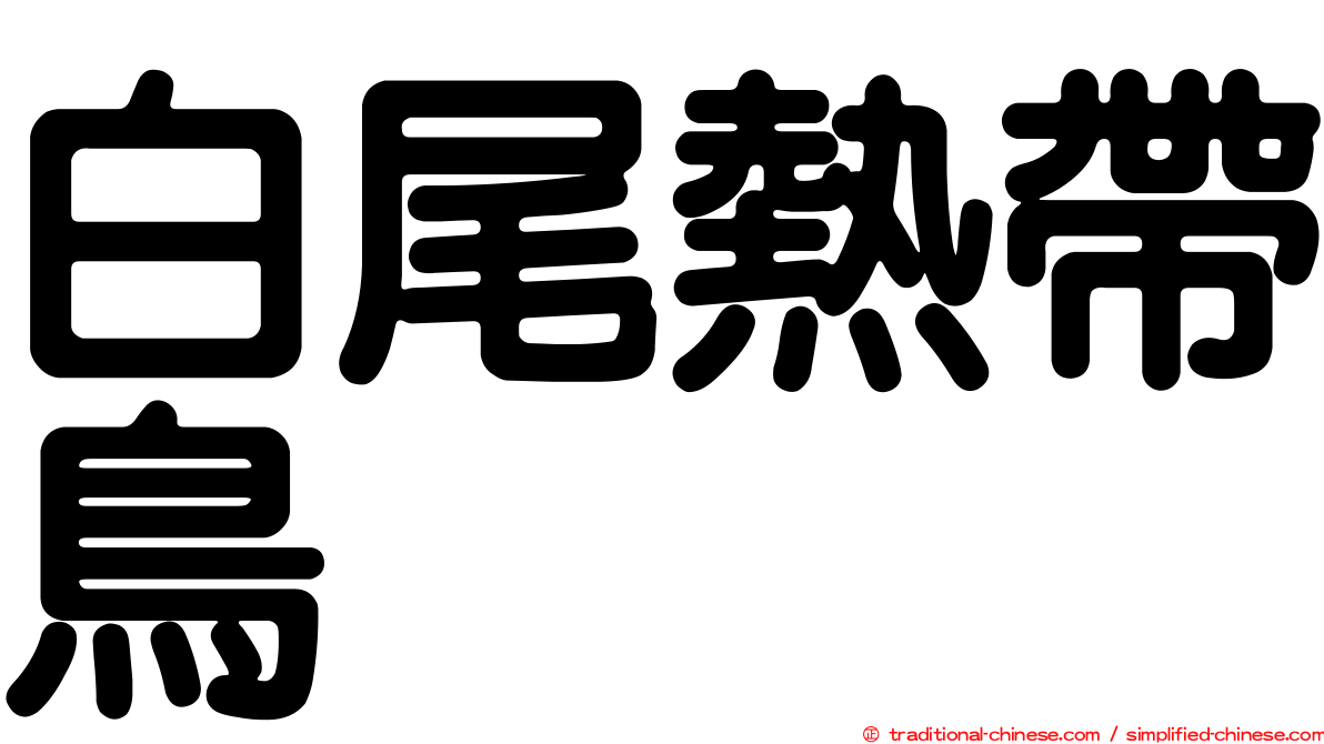 白尾熱帶鳥