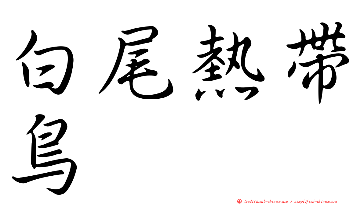 白尾熱帶鳥