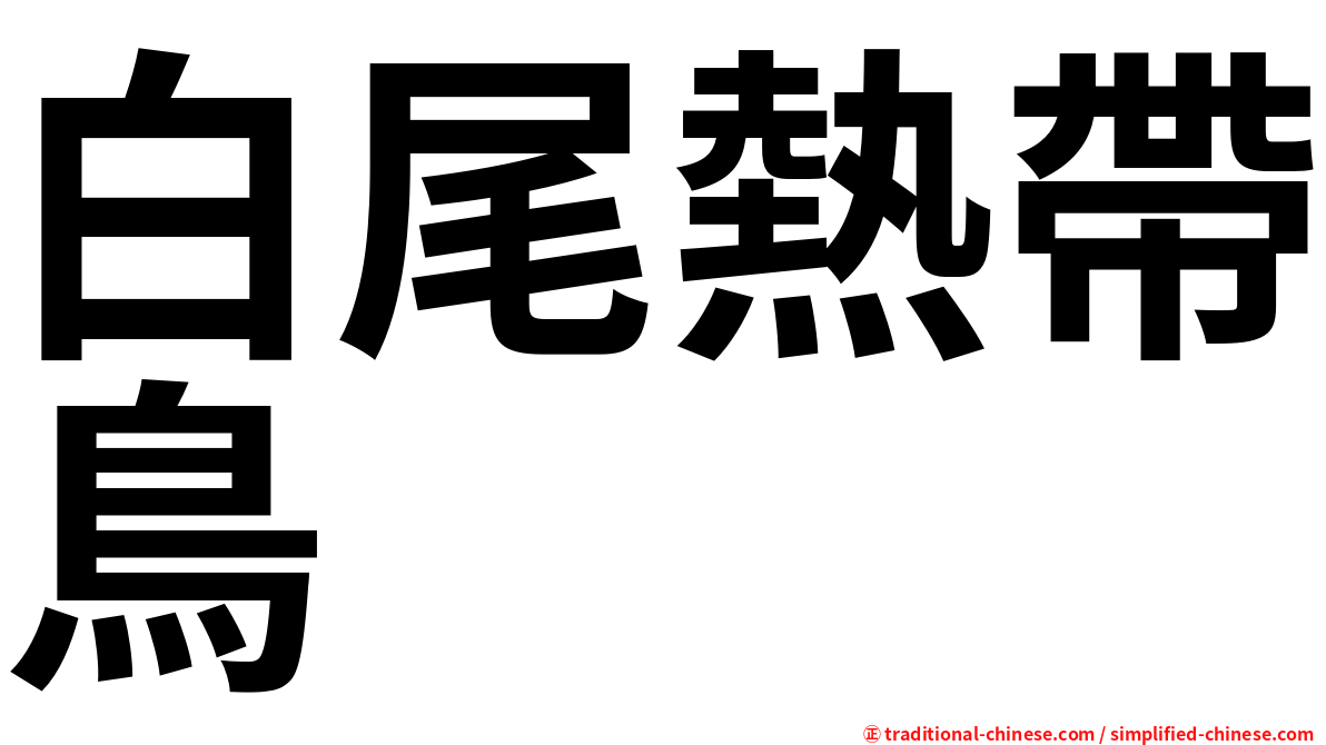 白尾熱帶鳥