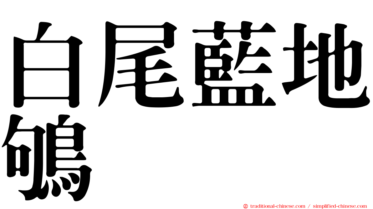 白尾藍地鴝