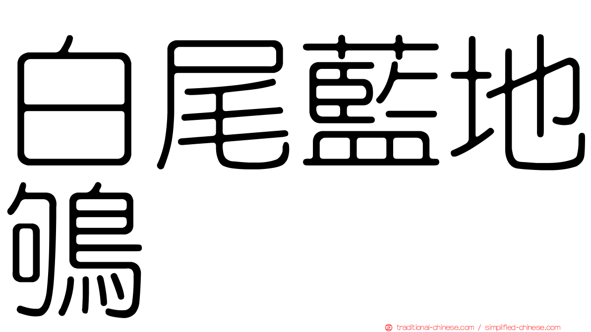 白尾藍地鴝