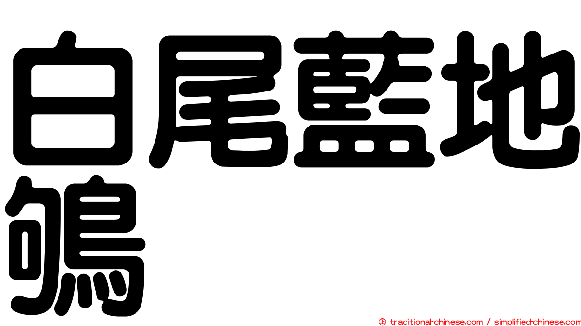 白尾藍地鴝