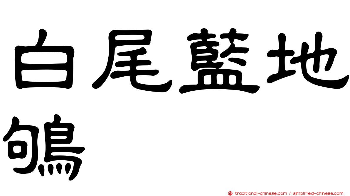 白尾藍地鴝