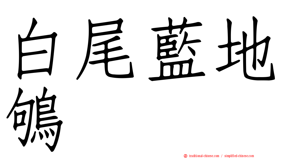 白尾藍地鴝