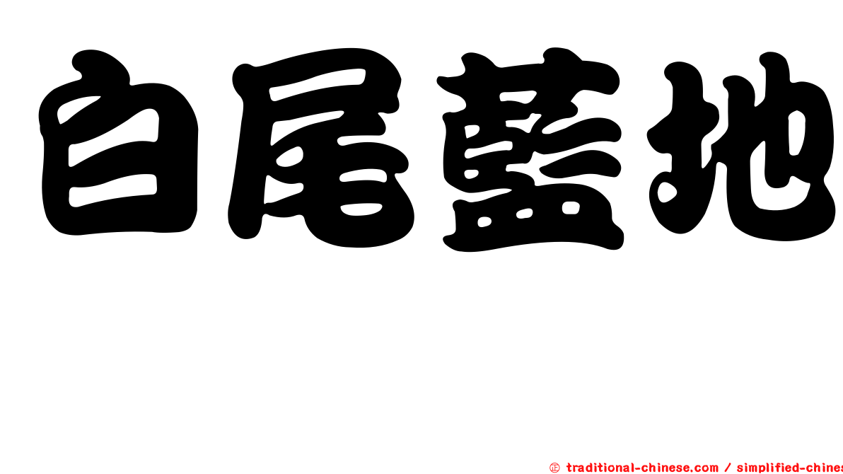 白尾藍地鴝