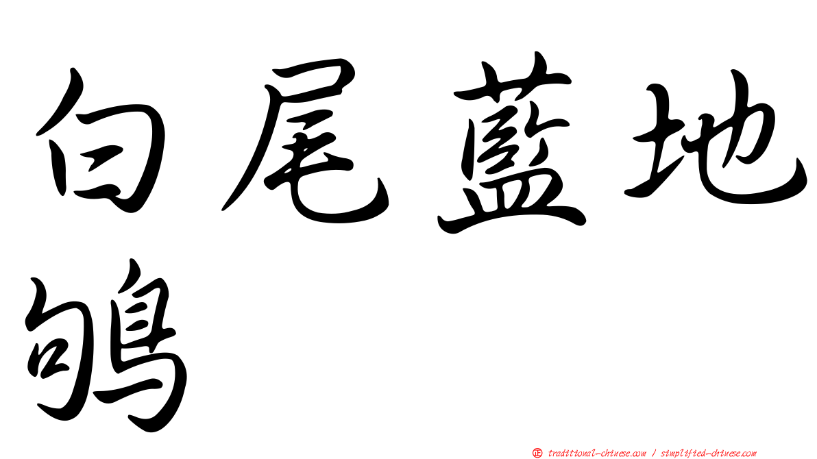 白尾藍地鴝