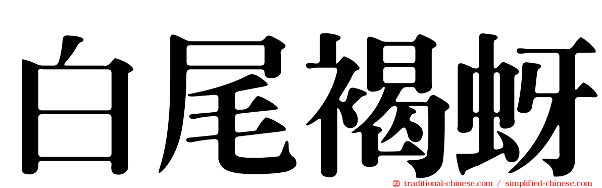 白尾褐蚜