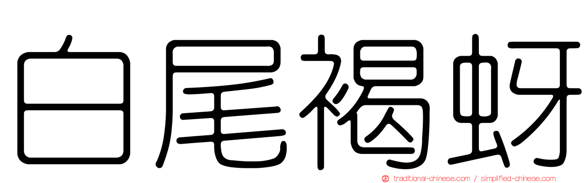白尾褐蚜