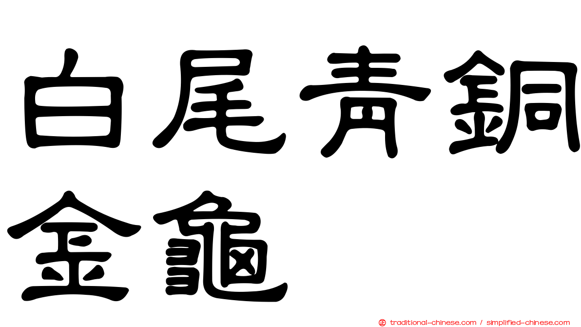白尾青銅金龜