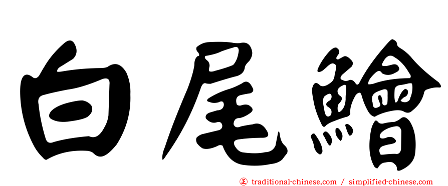 白尾鱠