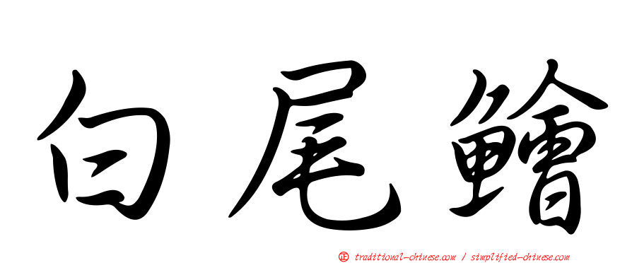 白尾鱠