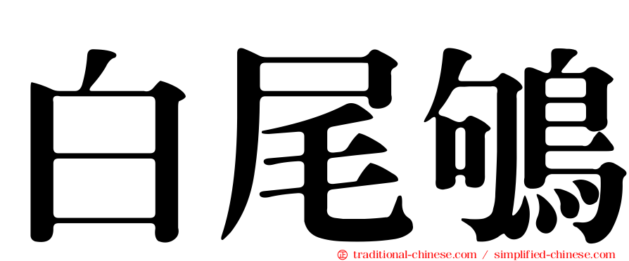 白尾鴝