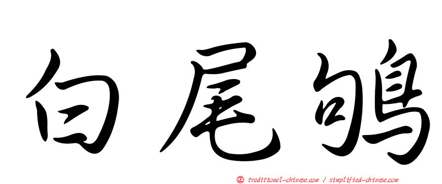 白尾鴝