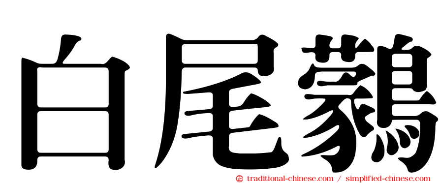 白尾鸏