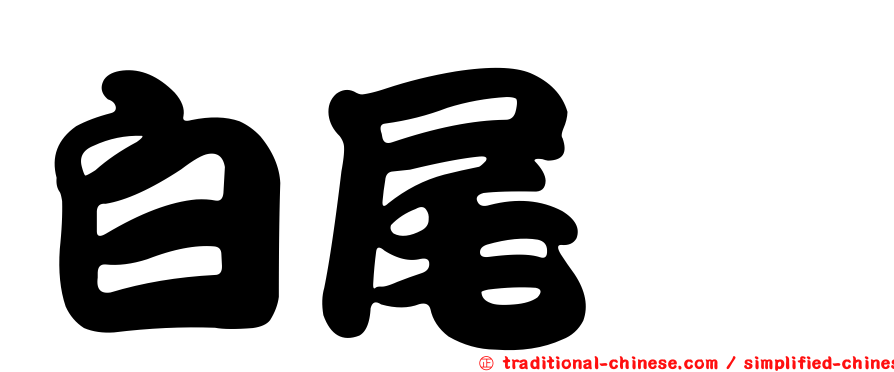 白尾鸏
