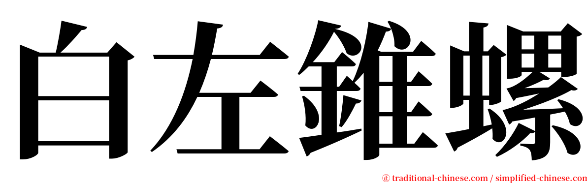 白左錐螺 serif font