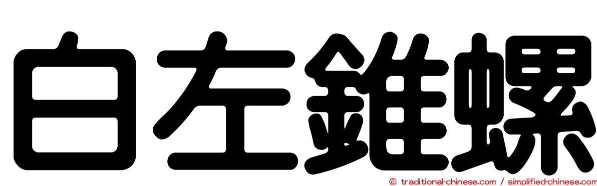 白左錐螺