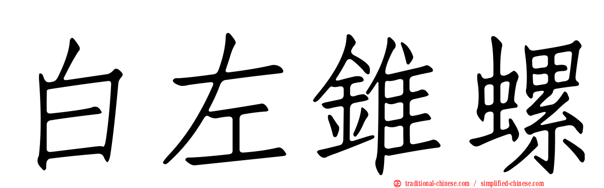 白左錐螺