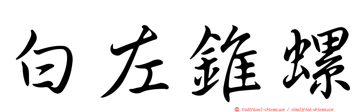 白左錐螺