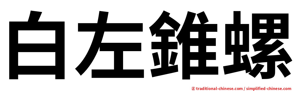 白左錐螺