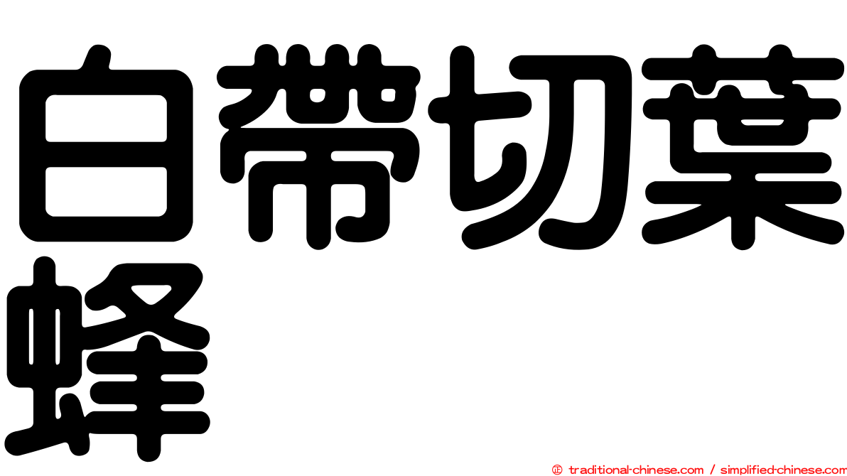 白帶切葉蜂