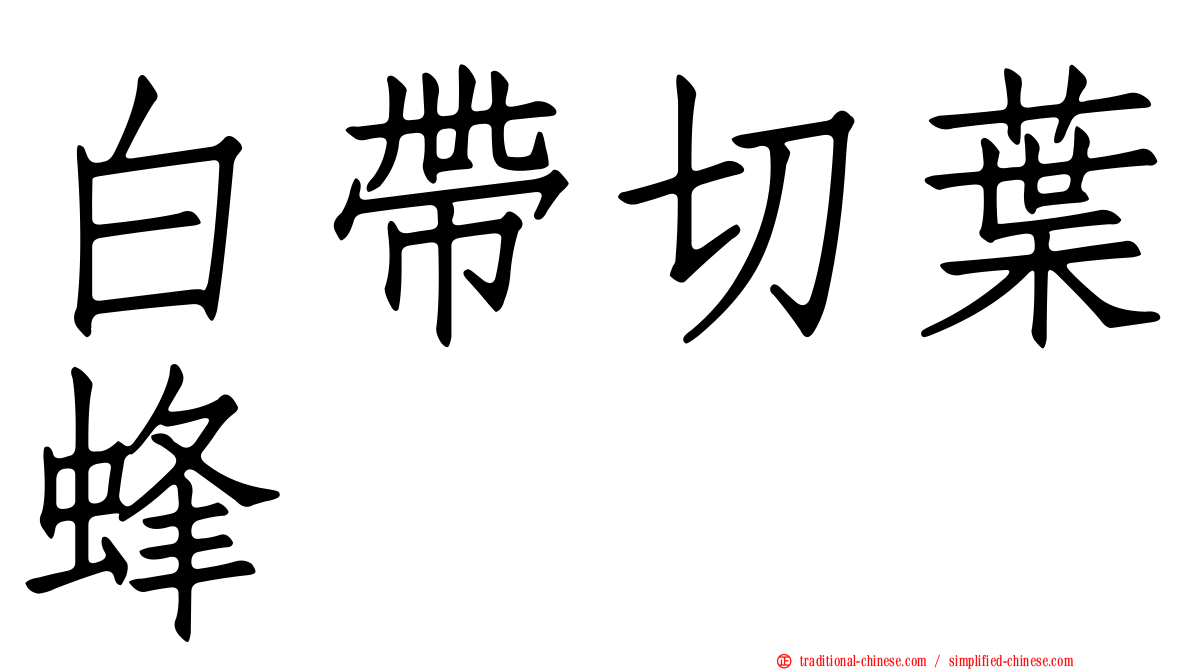 白帶切葉蜂